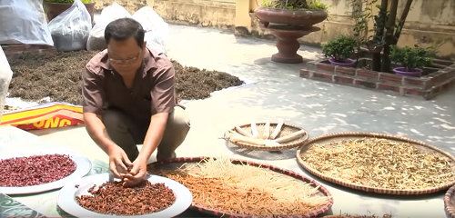 Lương y Đào Đình Nhuận nổi tiếng với bài thuốc điều trị suy thận